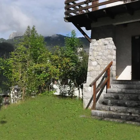 The Mountain View In *